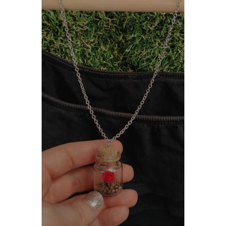 Mini terrárium rózsa üvegcse nyaklánc