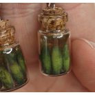 Pickle Jar Earrings